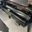 2005 JP Pramberger Platinum Edition grand piano - Grand Pianos